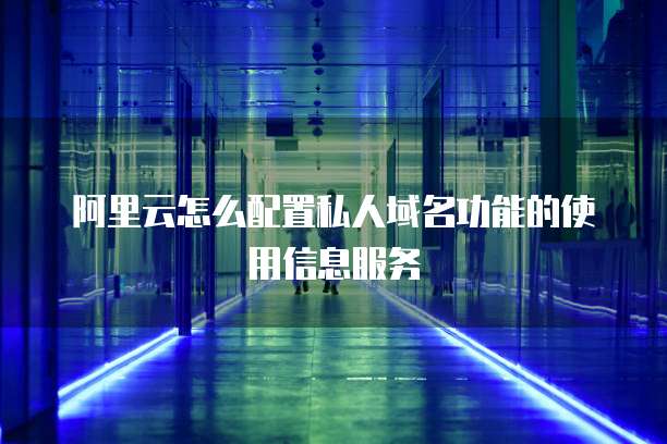 阿里云怎么配置私人域名功能的使用信息服务