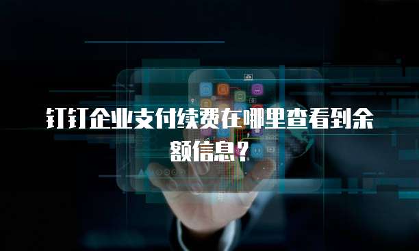 钉钉企业支付续费在哪里查看到余额信息?