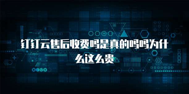 钉钉云售后收费吗是真的吗吗为什么这么贵