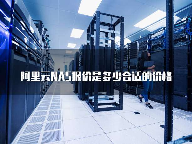 阿里云NAS报价是多少合适的价格