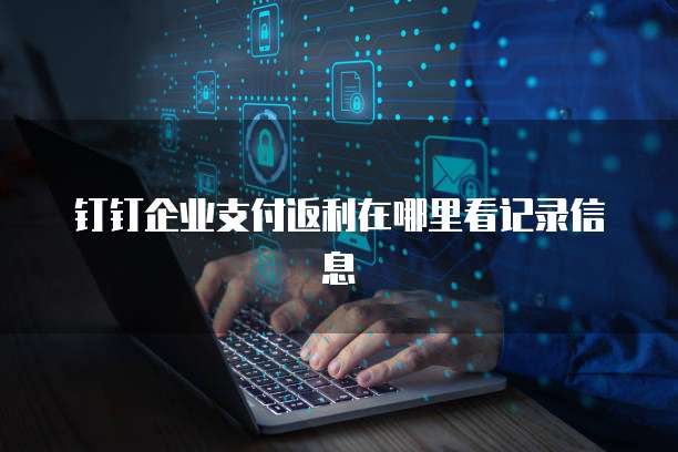 钉钉企业支付返利在哪里看记录信息