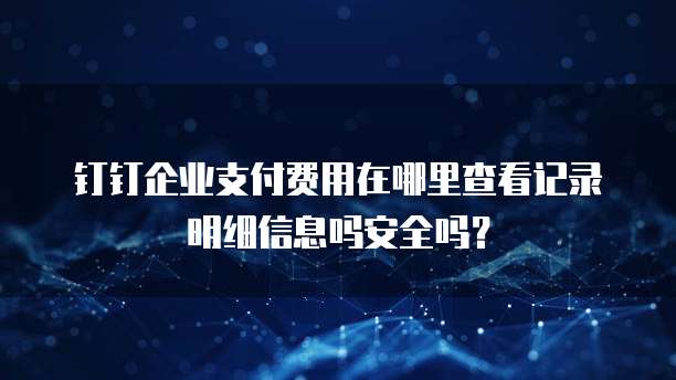 钉钉企业支付费用在哪里查看记录明细信息吗安全吗?