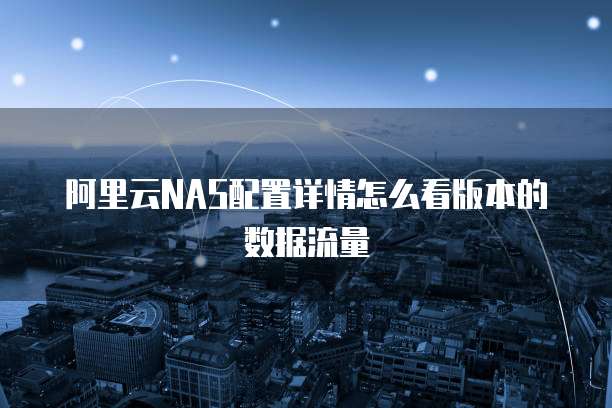 阿里云NAS配置详情怎么看版本的数据流量