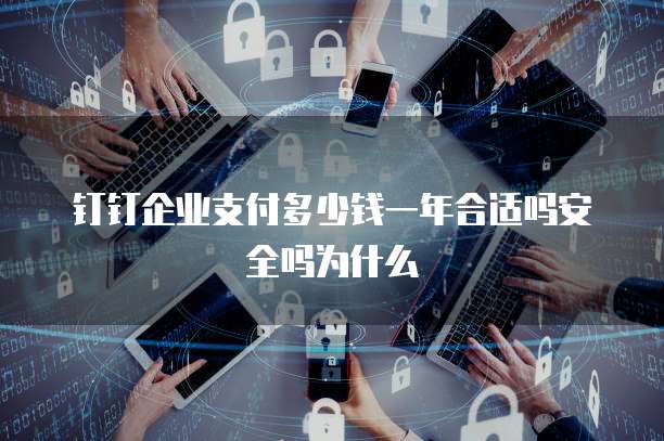 钉钉企业支付多少钱一年合适吗安全吗为什么