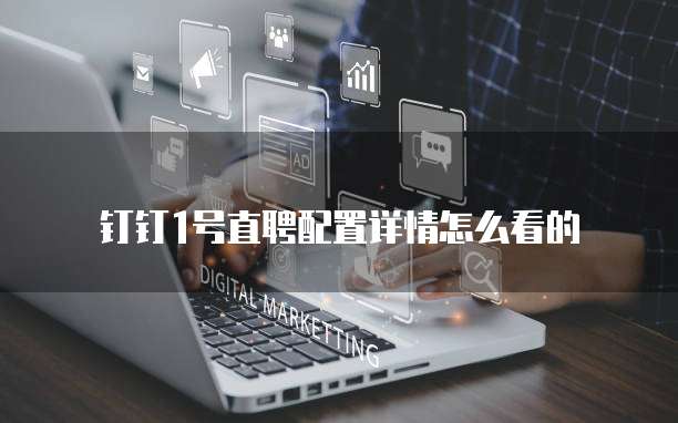 钉钉1号直聘配置详情怎么看的