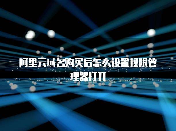 阿里云域名购买后怎么设置权限管理器打开