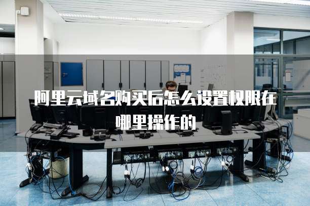 阿里云域名购买后怎么设置权限在哪里操作的