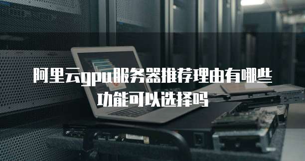 阿里云gpu服务器推荐理由有哪些功能可以选择吗