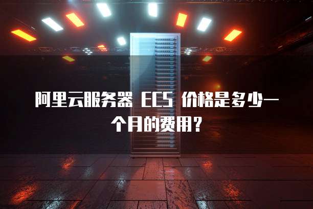 阿里云服务器 ECS 价格是多少一个月的费用?