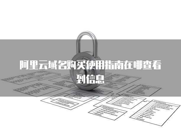 阿里云域名购买使用指南在哪查看到信息
