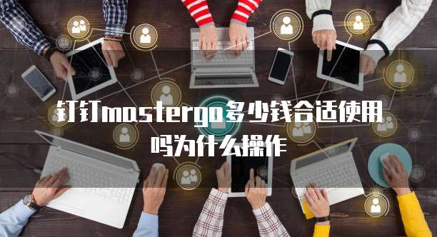 钉钉mastergo多少钱合适使用吗为什么操作