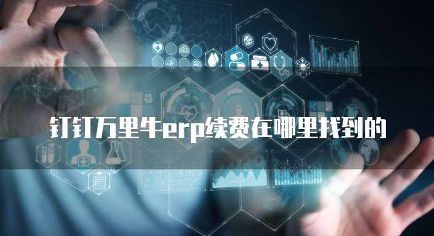 钉钉万里牛erp续费在哪里找到的