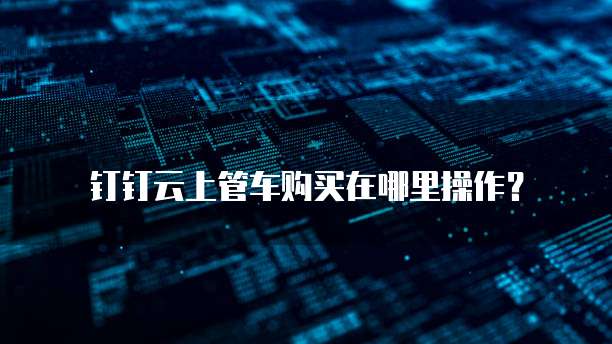 钉钉云上管车购买在哪里操作?