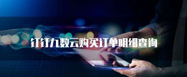 钉钉九数云购买订单明细查询