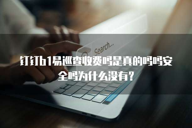 钉钉b1易巡查收费吗是真的吗吗安全吗为什么没有?