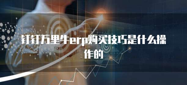 钉钉万里牛erp购买技巧是什么操作的