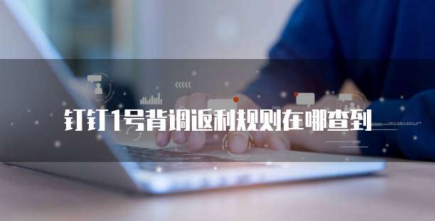 钉钉1号背调返利规则在哪查到