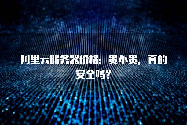 阿里云服务器价格:贵不贵,真的安全吗?