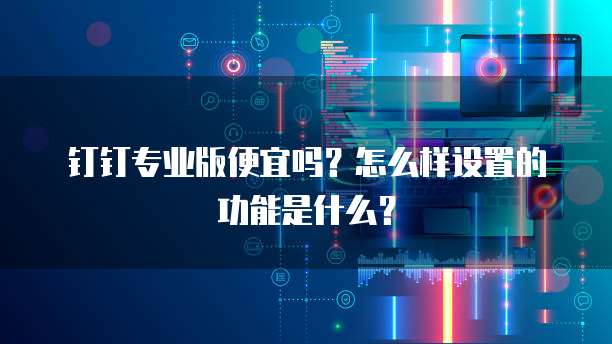 钉钉专业版便宜吗?怎么样设置的功能是什么?