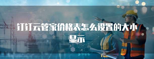 钉钉云管家价格表怎么设置的大小显示