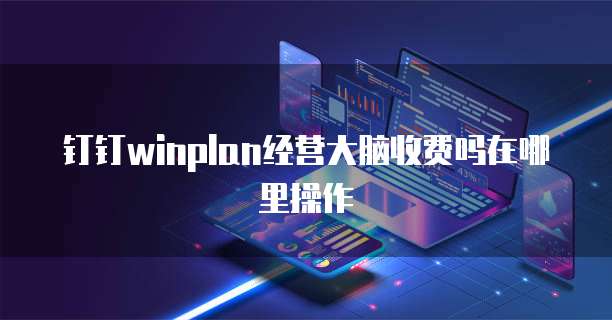钉钉winplan经营大脑收费吗在哪里操作