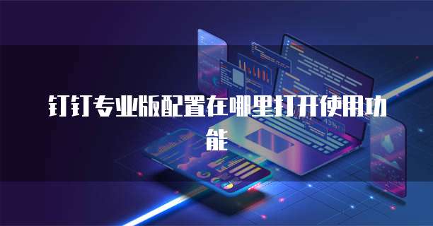 钉钉专业版配置在哪里打开使用功能