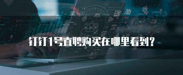 钉钉1号直聘购买在哪里看到？