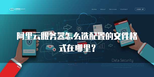 阿里云服务器怎么选配置的文件格式在哪里?