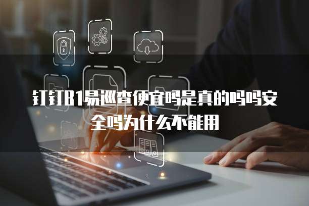 钉钉B1易巡查便宜吗是真的吗吗安全吗为什么不能用