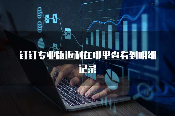 钉钉专业版返利在哪里查看到明细记录