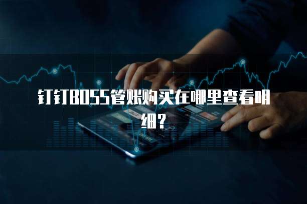 钉钉Boss管账购买在哪里查看明细?