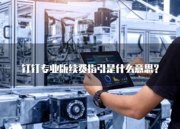 钉钉专业版续费指引是什么意思?