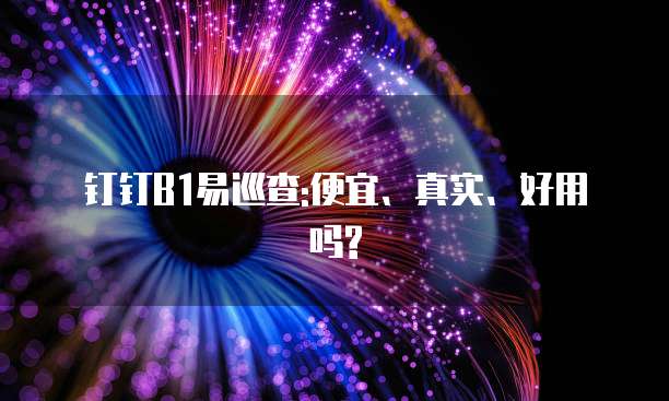 钉钉B1易巡查:便宜、真实、好用吗?