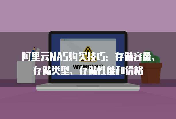 阿里云NAS购买技巧：存储容量、存储类型、存储性能和价格

