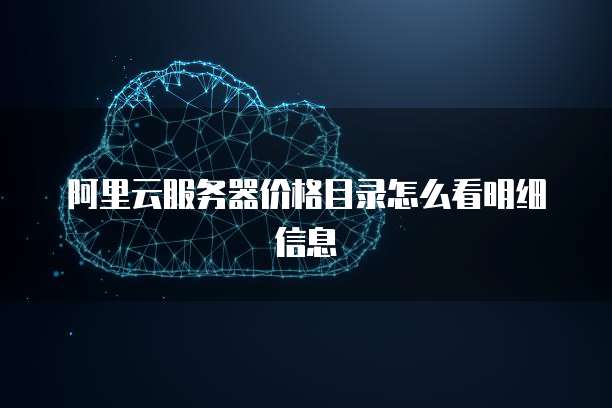 阿里云服务器价格目录怎么看明细信息