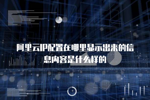 阿里云IP配置在哪里显示出来的信息内容是什么样的