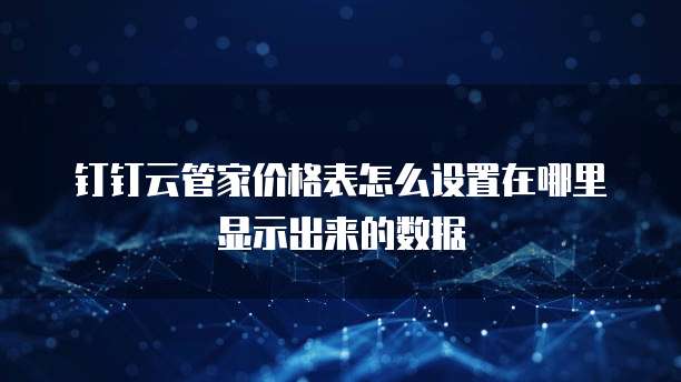 钉钉云管家价格表怎么设置在哪里显示出来的数据