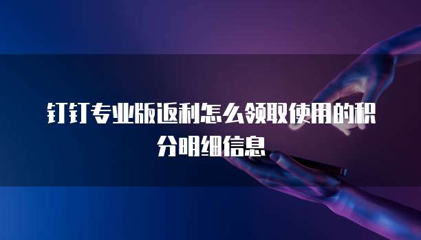 钉钉专业版返利怎么领取使用的积分明细信息