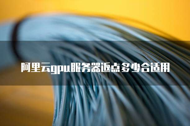 阿里云GPU服务器返点多少合适用