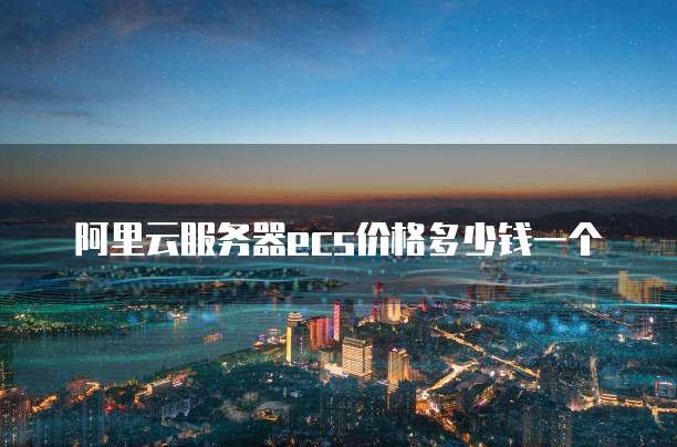 阿里云服务器ecs价格多少钱一个