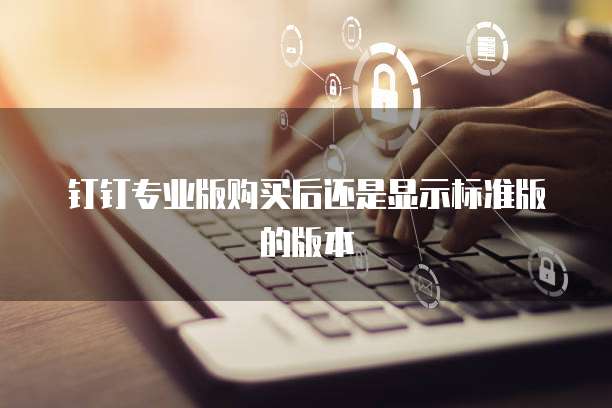 钉钉专业版购买后还是显示标准版的版本