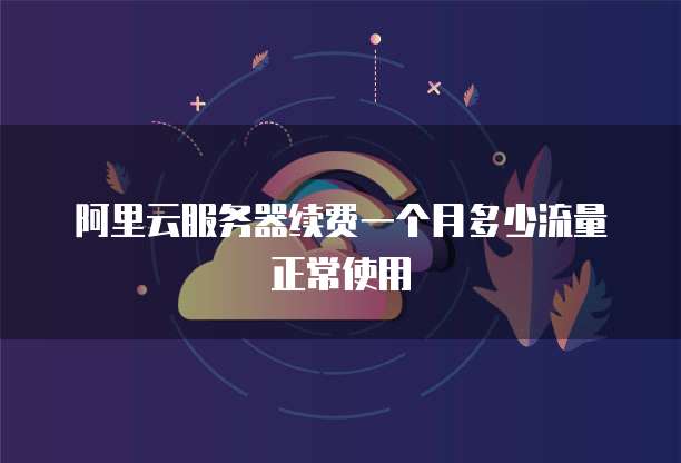 阿里云服务器续费一个月多少流量正常使用