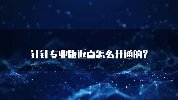 钉钉专业版返点怎么开通的？