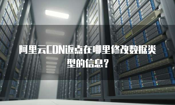 阿里云CDN返点在哪里修改数据类型的信息?