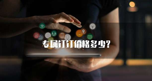 专属钉钉价格多少?