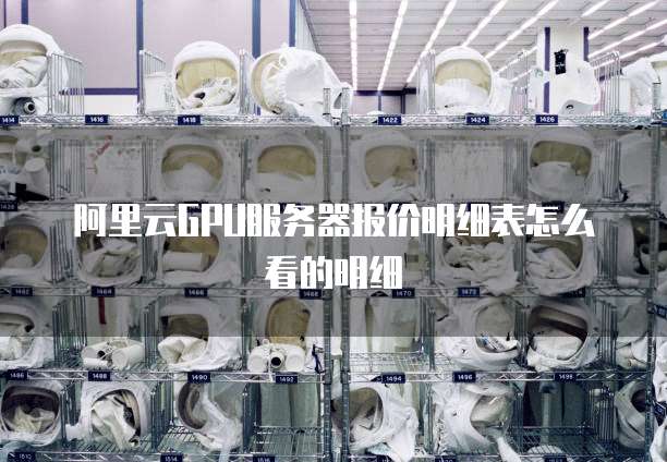 阿里云GPU服务器报价明细表怎么看的明细