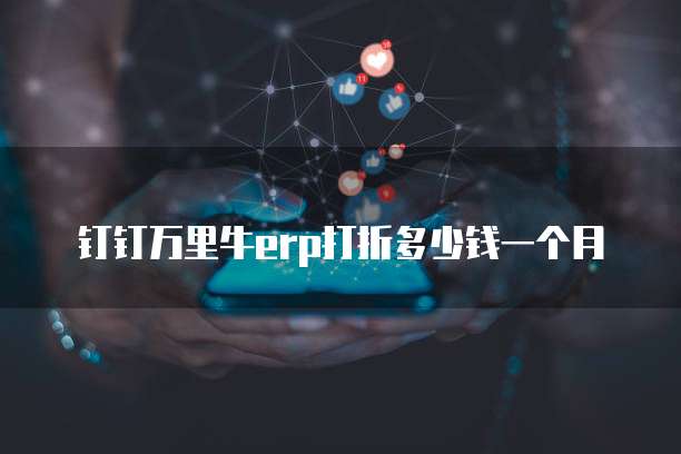 钉钉万里牛erp打折多少钱一个月