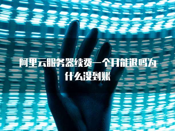 阿里云服务器续费一个月能退吗为什么没到账