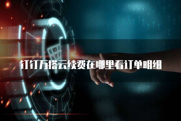 钉钉万搭云续费在哪里看订单明细
