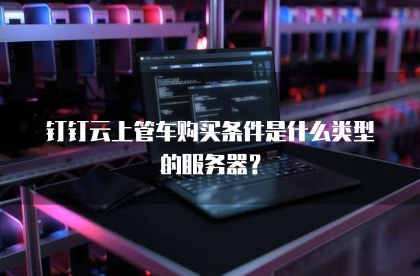 钉钉云上管车购买条件是什么类型的服务器?